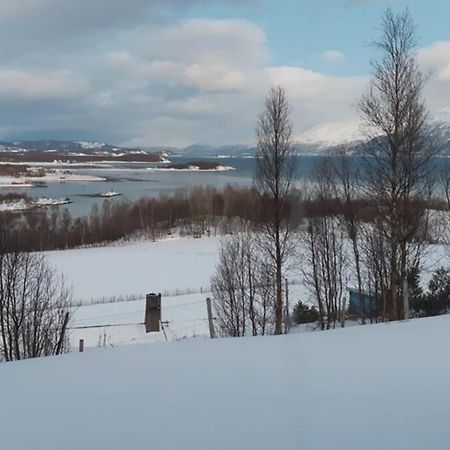 Best Of Lyngen Panorama Apartment Lyngseidet Exterior photo