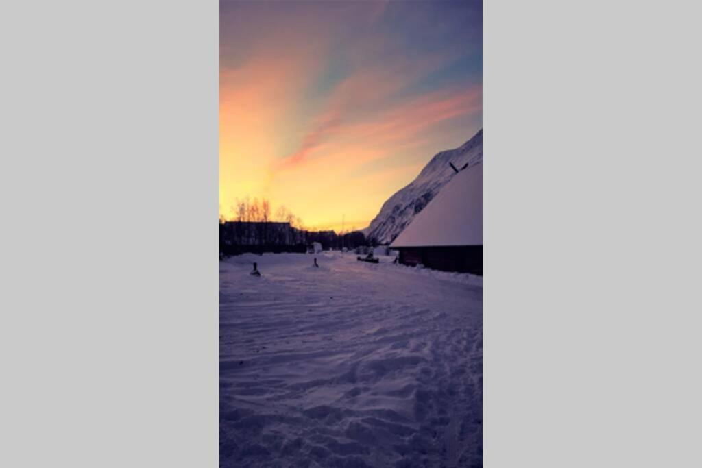 Best Of Lyngen Panorama Apartment Lyngseidet Exterior photo