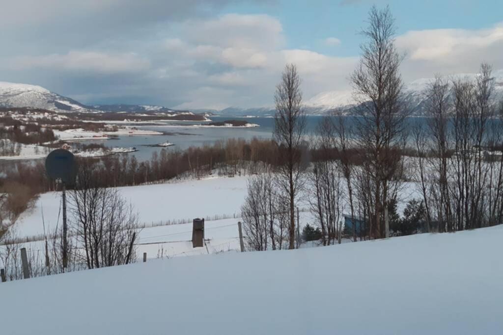 Best Of Lyngen Panorama Apartment Lyngseidet Exterior photo